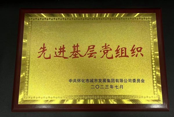 喜讯！怀化建工集团党支部荣获 “先进基层党组织”称号